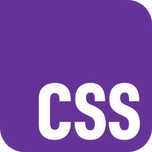 Stilu programmēšanas valoda CSS - logo