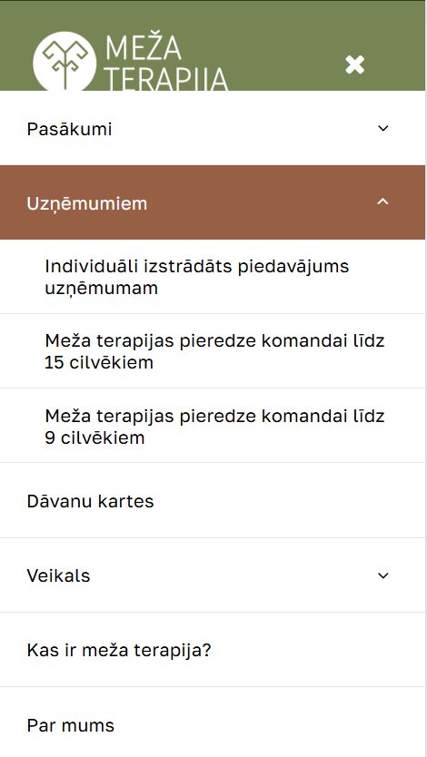 Mobilās navigācijas apakšsadaļas - Mezaterapija.lv