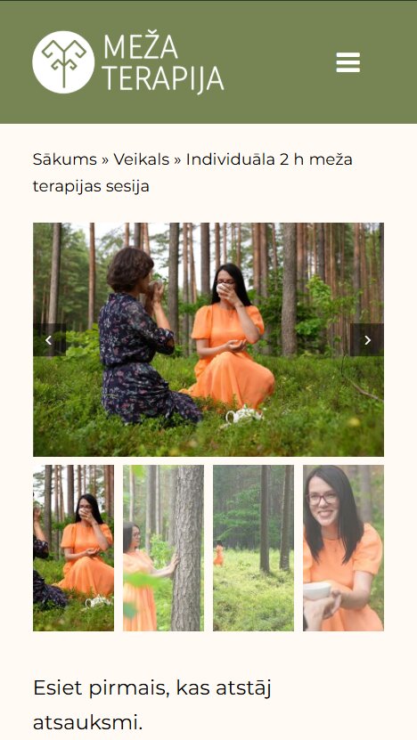 Pakalpojuma atvērums - Mezaterapija.lv - mobile