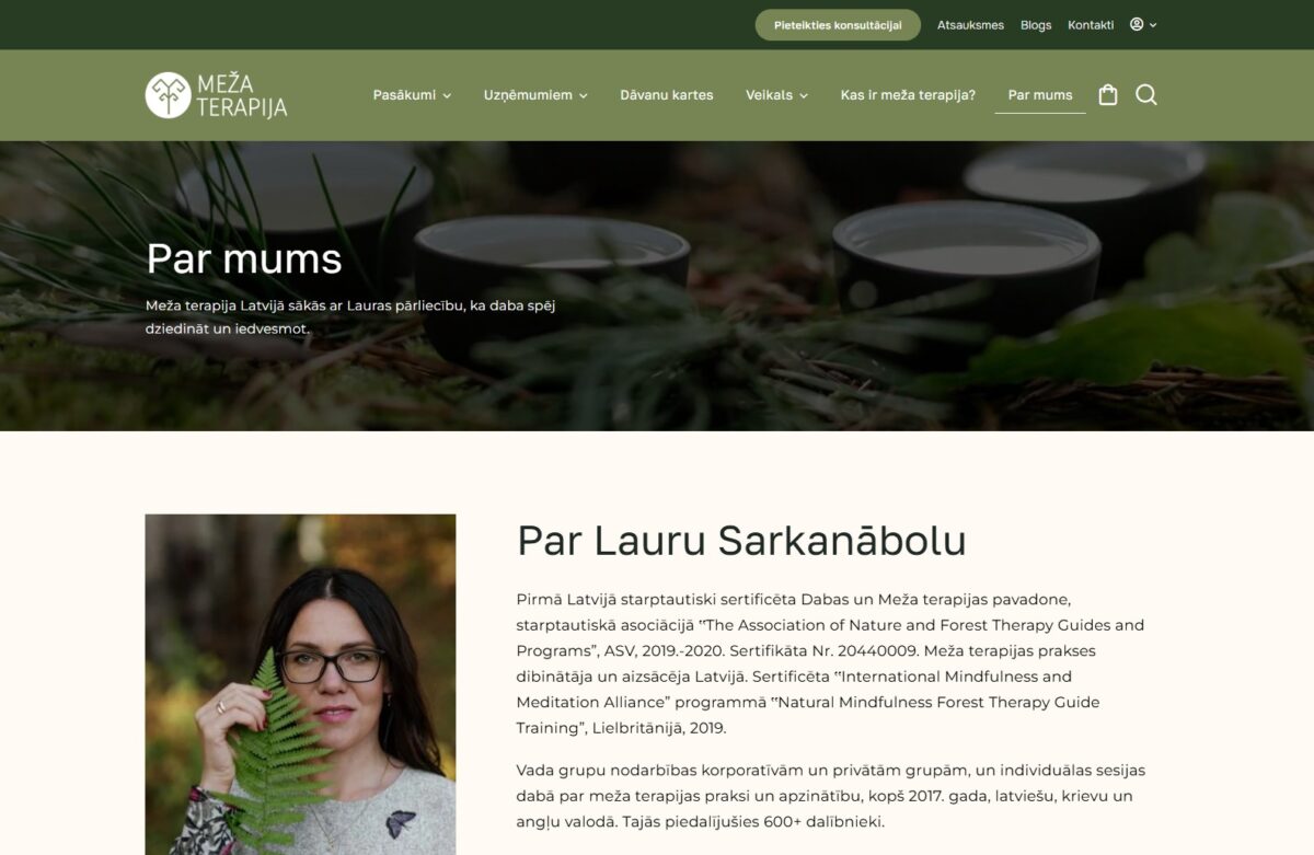 Par pakalpojumu sniedzēju - Mezaterapija.lv