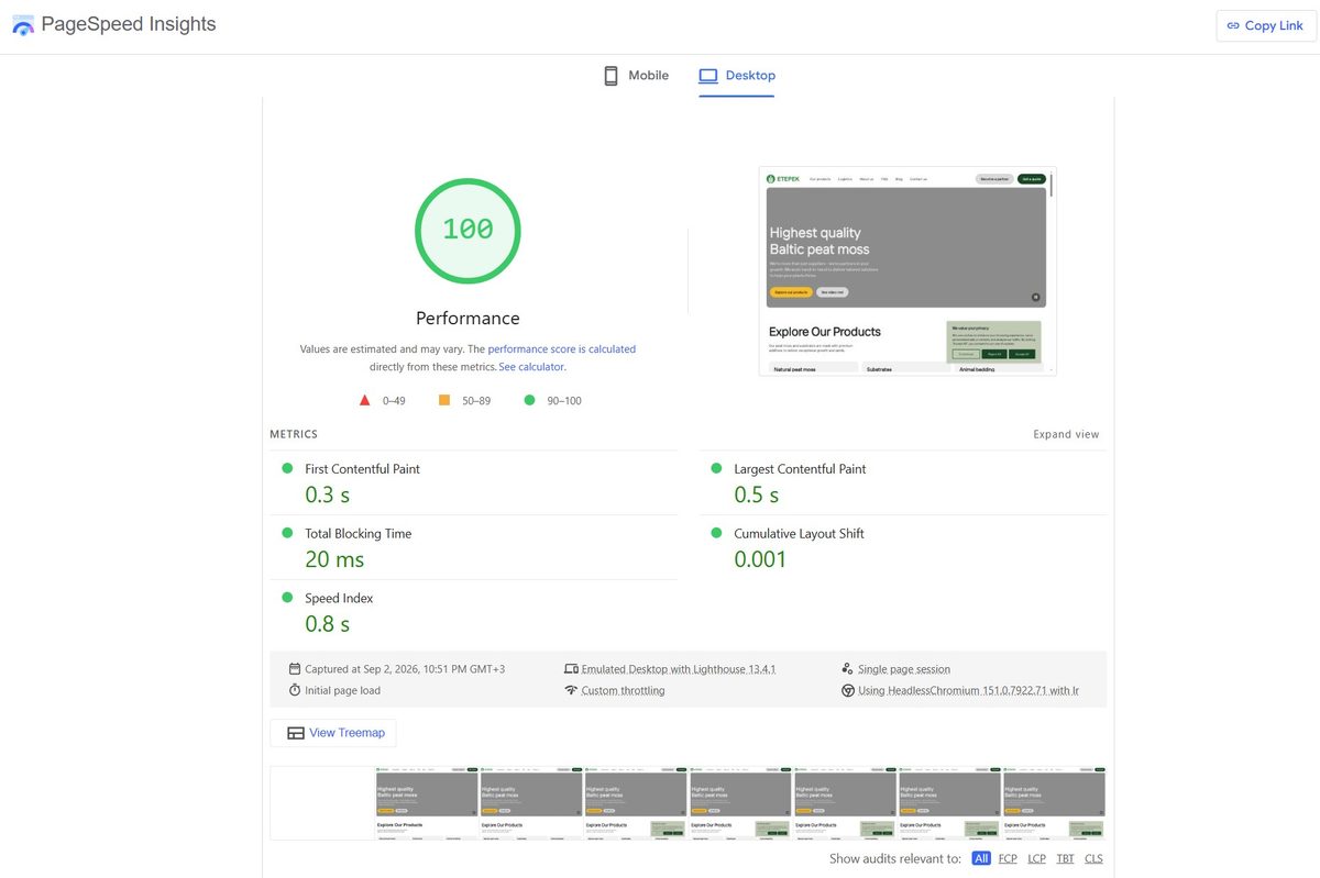 Google PageSpeed Insights rezultāts eComStrive izstrādātai B2B e-komercijas vietnei eksporta tirgum ar 100 punktu veiktspējas novērtējumu datoriem.